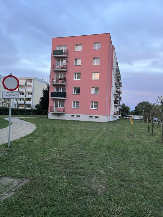 Koszenie trawy - i zarośli
