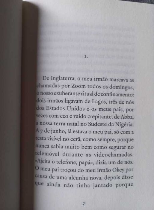 Notas sobre o Luto - Chimamanda Ngozi Adichie