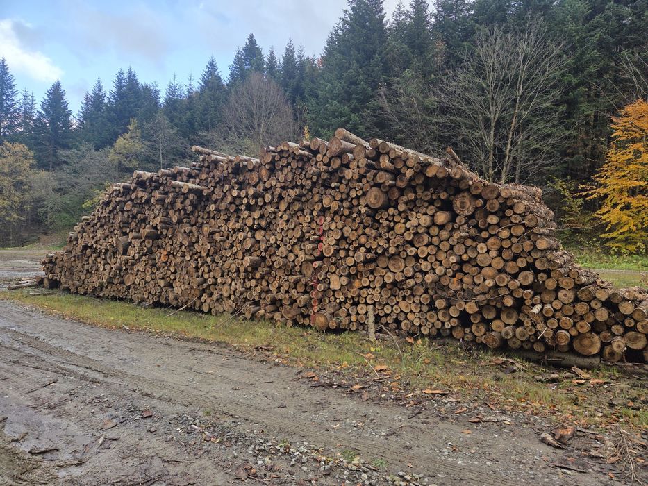 Stemple budowlane, Słupki ogrodzeniowe Płot drewniany
