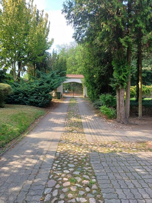Noclegi Zielona Góra Winobranie
