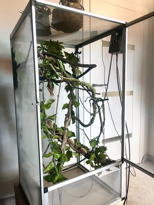 Na sprzedaż: Terrarium siatkowe 100x50x50 cm – kompletne wyposażenie!