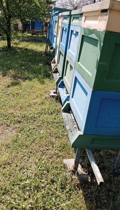 Odkłady pszczele PROMOCJA ramka Wielkop.