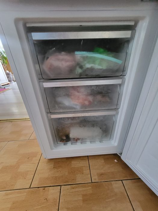 NIŻSZA CENA Lodówka Amica  na gwarancji