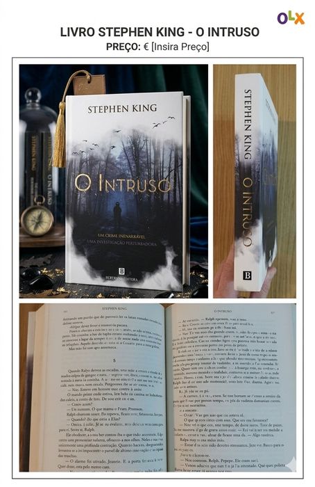 Livro O Intruso - Stephen King (Como Novo / Bertrand)