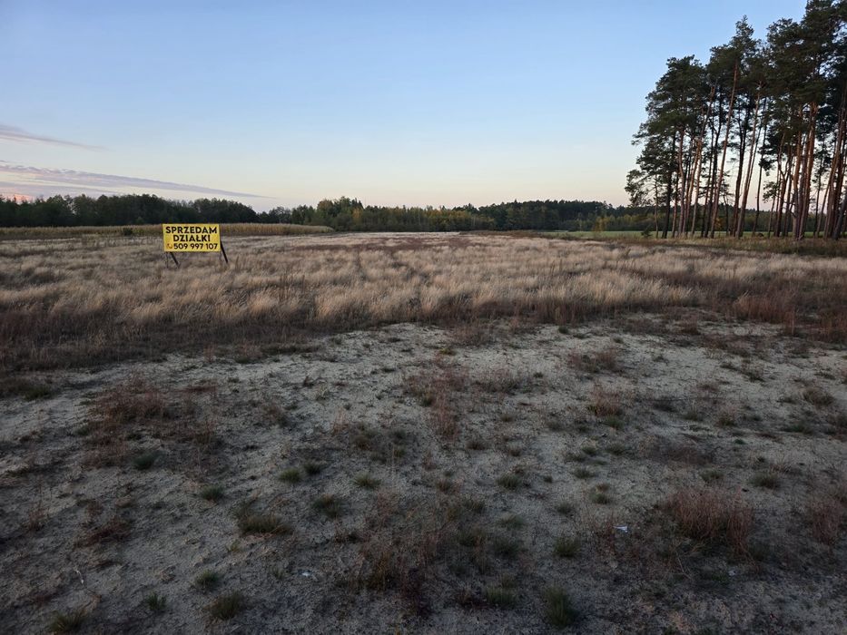 Działki budowlane Wierzbinek - Widok 3