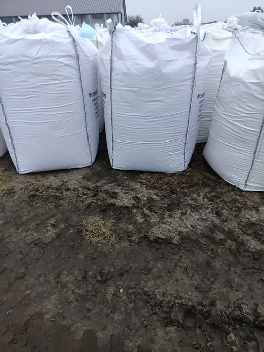 Kukurydza CCM bigbagi