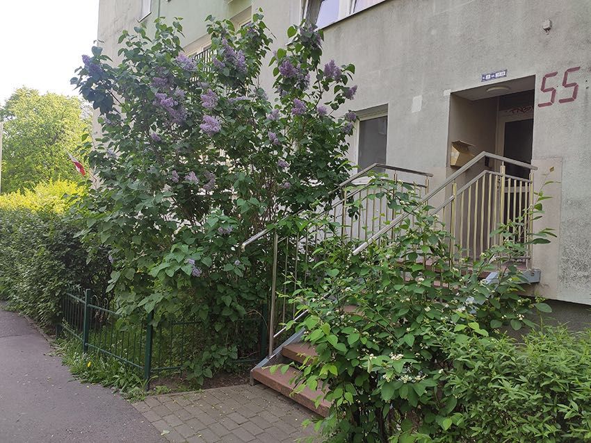 Warszawa-Bielany mieszkanie 2-pokojowe