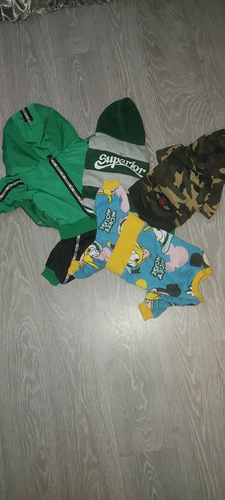 Одяг для маленької собаки