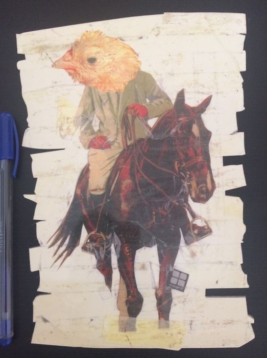 Autocolantes Skate e Surf