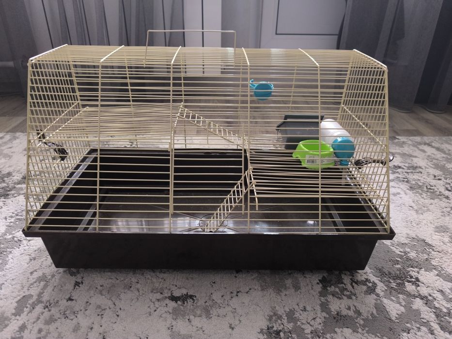 Клетка для грызунов, Хомяков