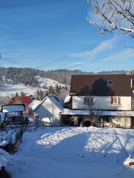 Будинок в Карпатах