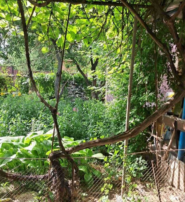 Продам земельну ділянку під забудову на вул.Литвиненко-Вольгемут 0962