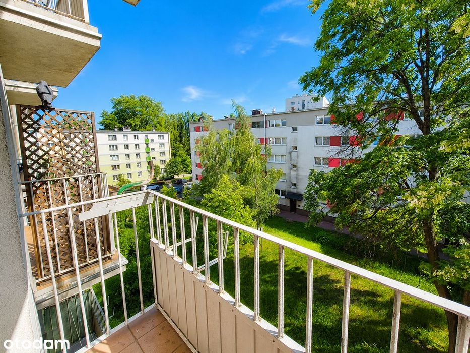 Mieszkanie 46 m² z balkonem i piwnicą – dużo zieleni, duży potencjał - View 5