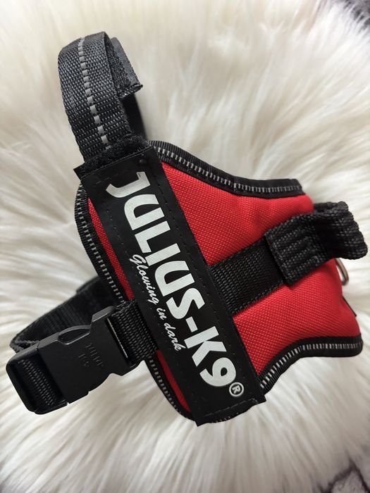 Julius-k9 шлея для собаки тренувальна р. XS / mini-mini
