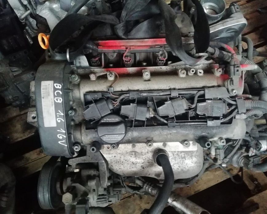 Motor SEAT LEON (1M1) 1.6 16 V REF. BCB