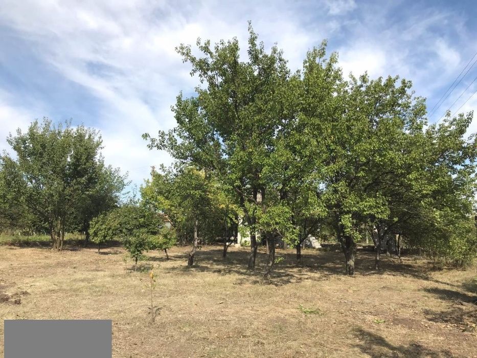 Продам дачу, Василевка, Солонянский район.