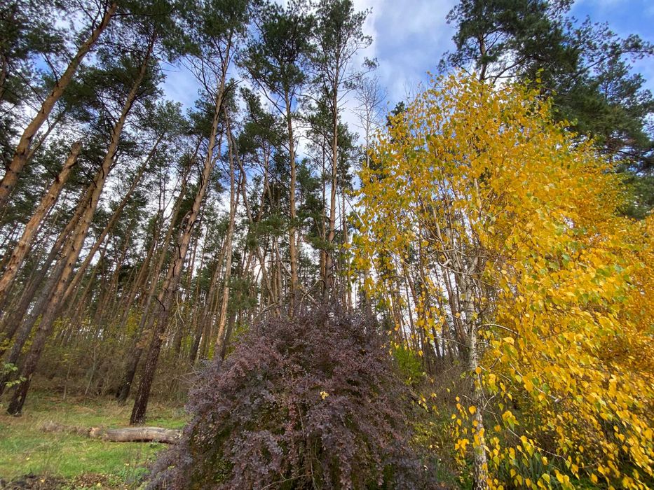 Земля для будівництва 30 сот, під лісом. Передмістя Черкас Геронимівка