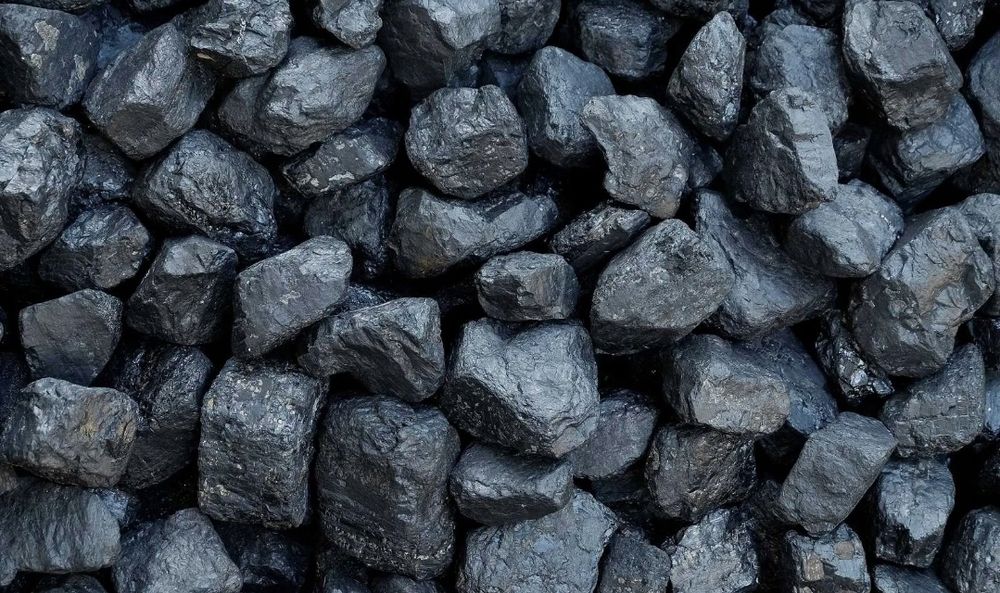 Węgiel orzech Polski