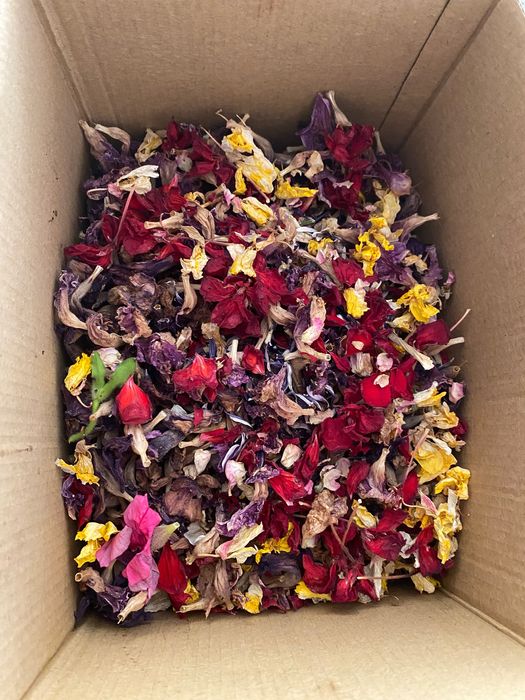 Suszone kwiaty, płatki kwiatów