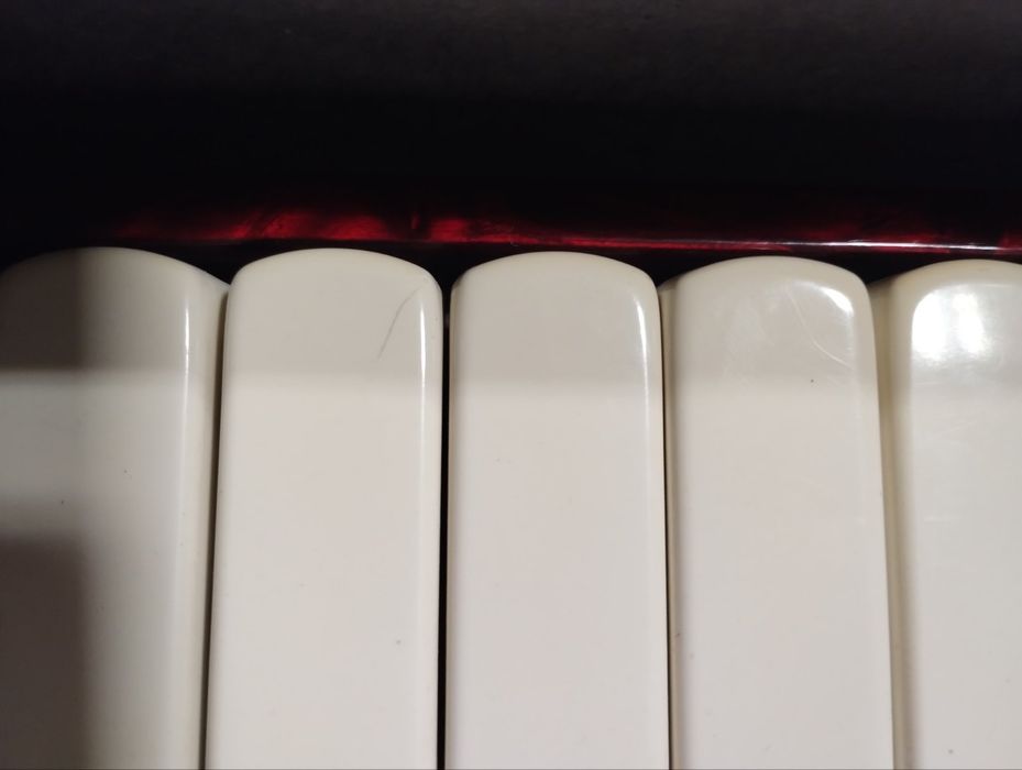 Аккордеон Horch Superior, Германия