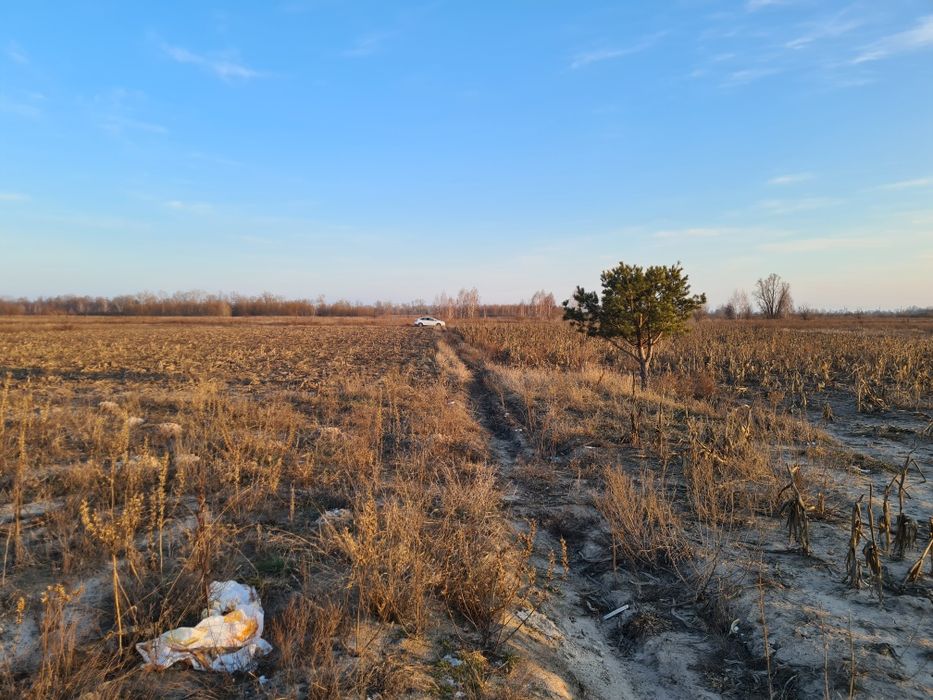 Оренда землі, 2,15га, с.Вища Дубечня,  під ягоди, овочі, теплиці, сад