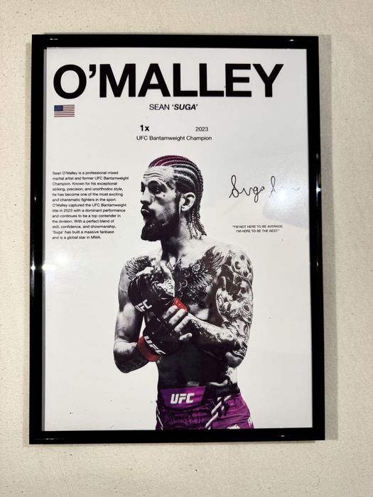 Spersonalizowany Obraz UFC