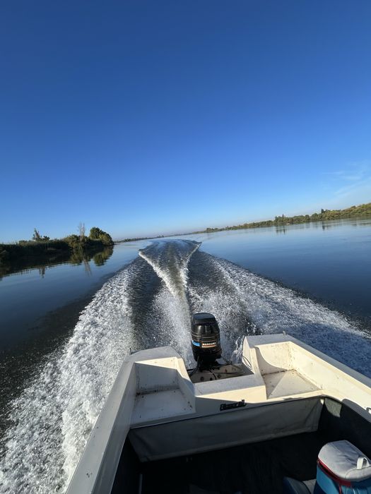 Vendo barco riamar 490 Mercury 80cv