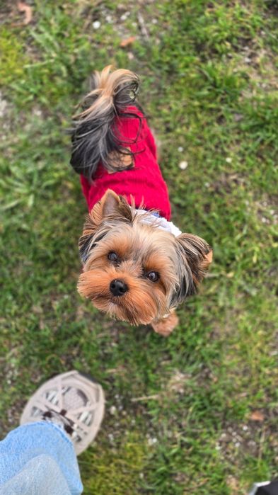 Ищу невесту красивую и умную