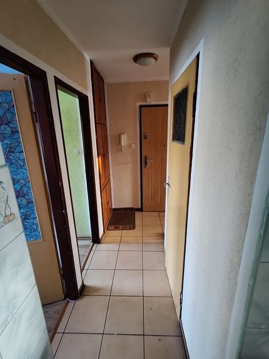 3 pokojowe mieszkanie do wynajecia