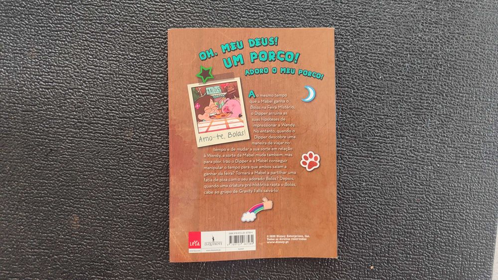 Gravity Falls – Agora é que o Porco Torce o Rabo (livro juvenil)