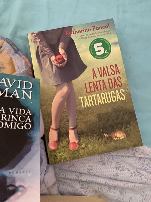 Livro novo a valsa lenta das tartarugas