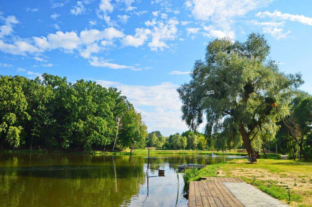 Продаж гарного діючого бізнесу у мальовничому місці