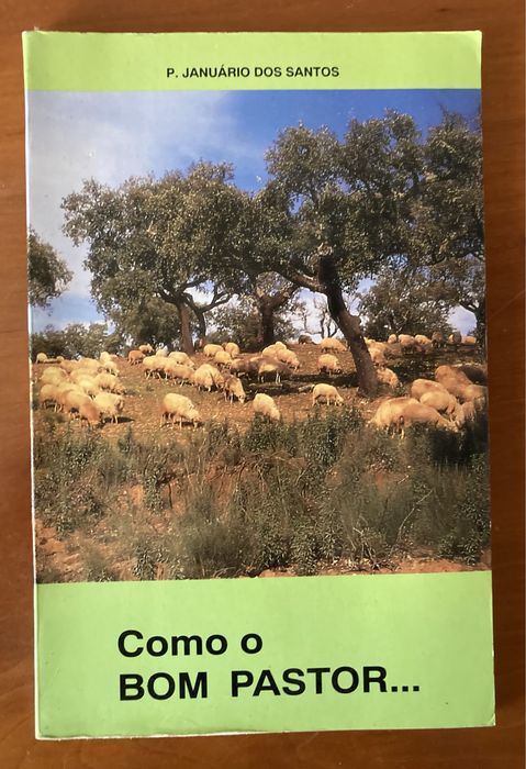 Livro “Como o bom pastor”