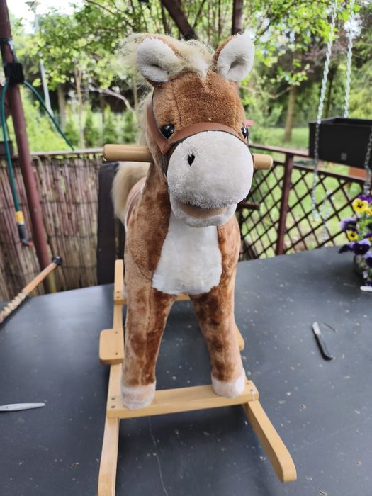 Konik na biegunach