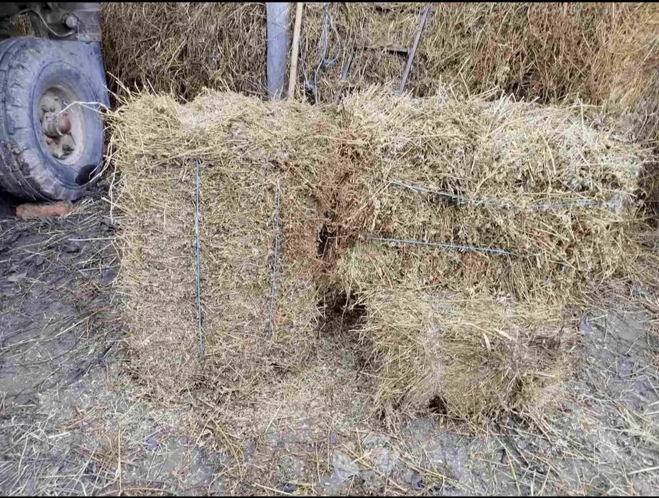 Продаються тюки з люцерни 130грн.за 1 шт