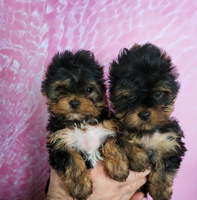 Самые красивые минички