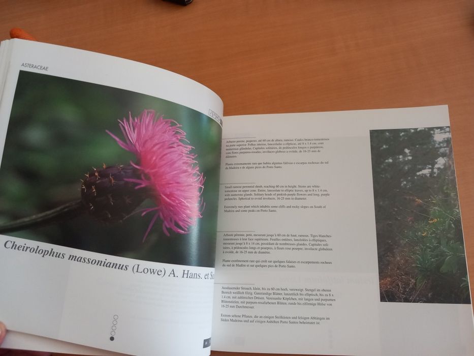 Flora Endémica da Madeira de Roberto Jardim e David Francisco