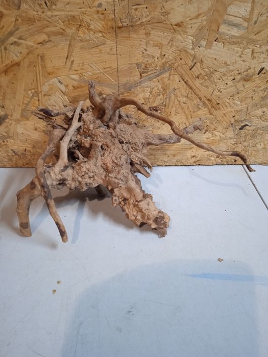 Korzeń do akwarium Red Moore Wood nr 162 o wymiarach 21/12/24