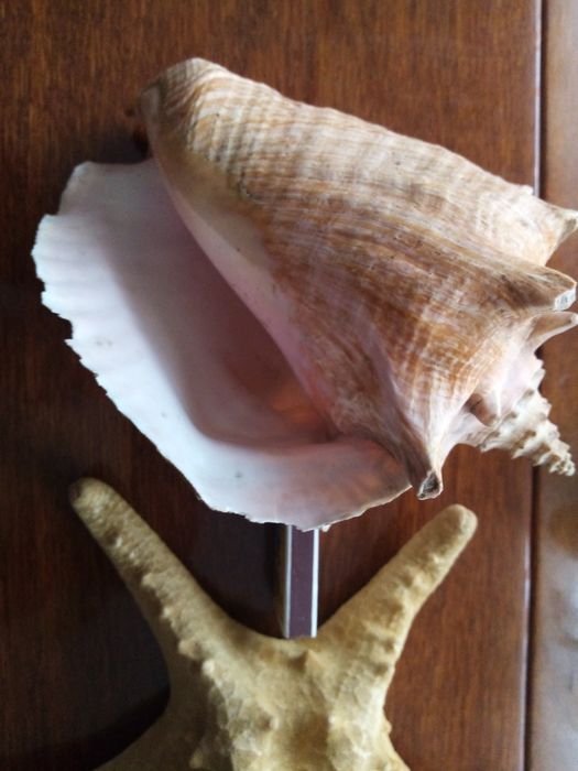 Продам у хорошому стані