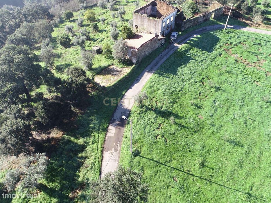Terreno Rustico em Palhais - Sertã — Cernache Do Bonjardim, Nesperal E Palhais, Castelo Branco