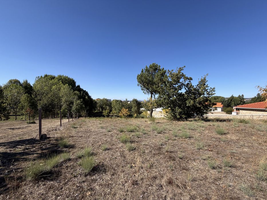 Terreno em solo urbano de 1250m2 com viabilidade construtica em Sever, Moimenta da Beira