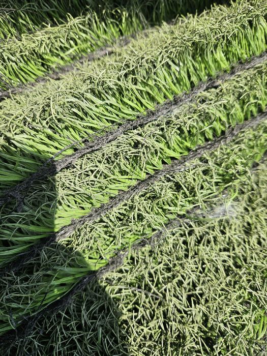 Venda Relva Sintética Usada