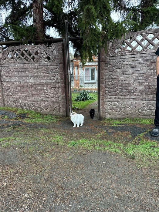 Продается дом с мебелью и техникой