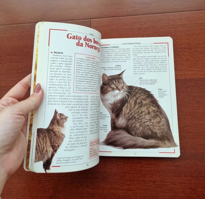 Livro "O Gato, mais um Membro da Família"