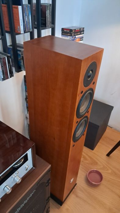 Kolumny podlogowe DLS R55