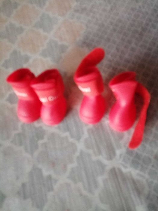 Новые  сапожки для собачки