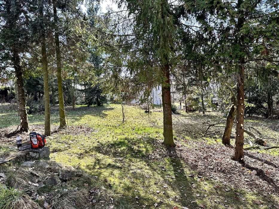 przycinanie tui, koszenie trawy, pielęgnacja ogrodów, wycinka drzew