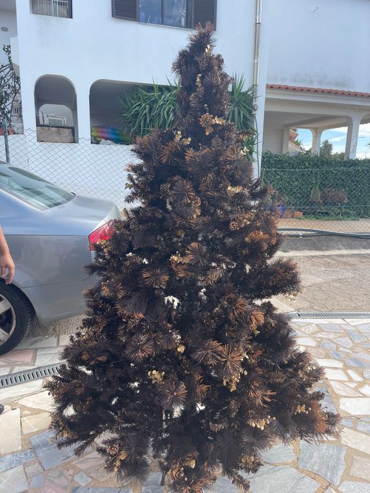 Árvore Natal castanha