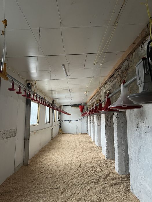 Обладнання для вирощування бройлера