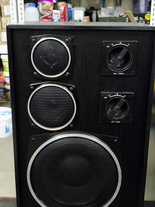 Акустична система S 90 Radiotehnika колонки пара